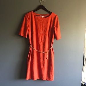 SANDRA DARREN ORANGE GOLD CHAIN BELT DRESS